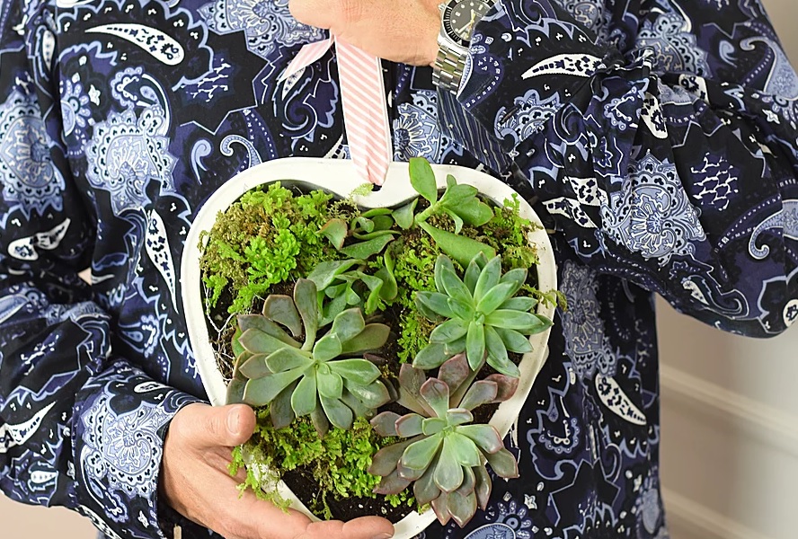 succulent decor heart planter cynthiazamaria