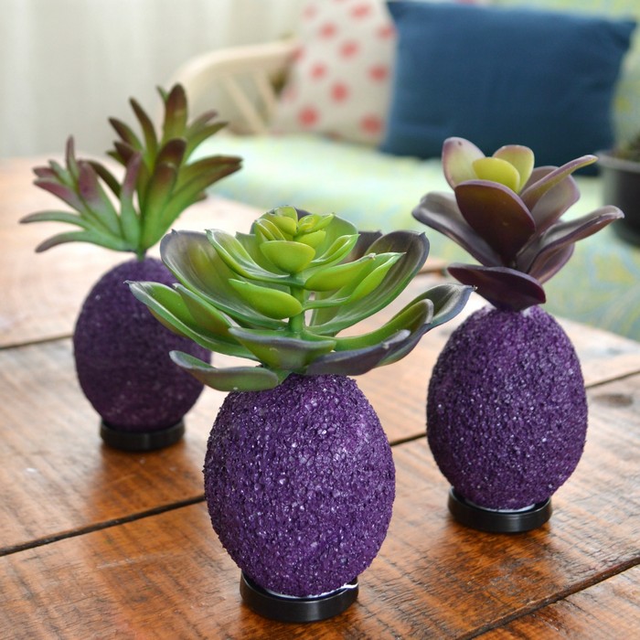 succulent decor succulent topped easteregs madincrafts