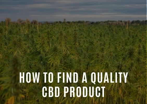 How To Find A Quality CBD Product 25Magazine 1