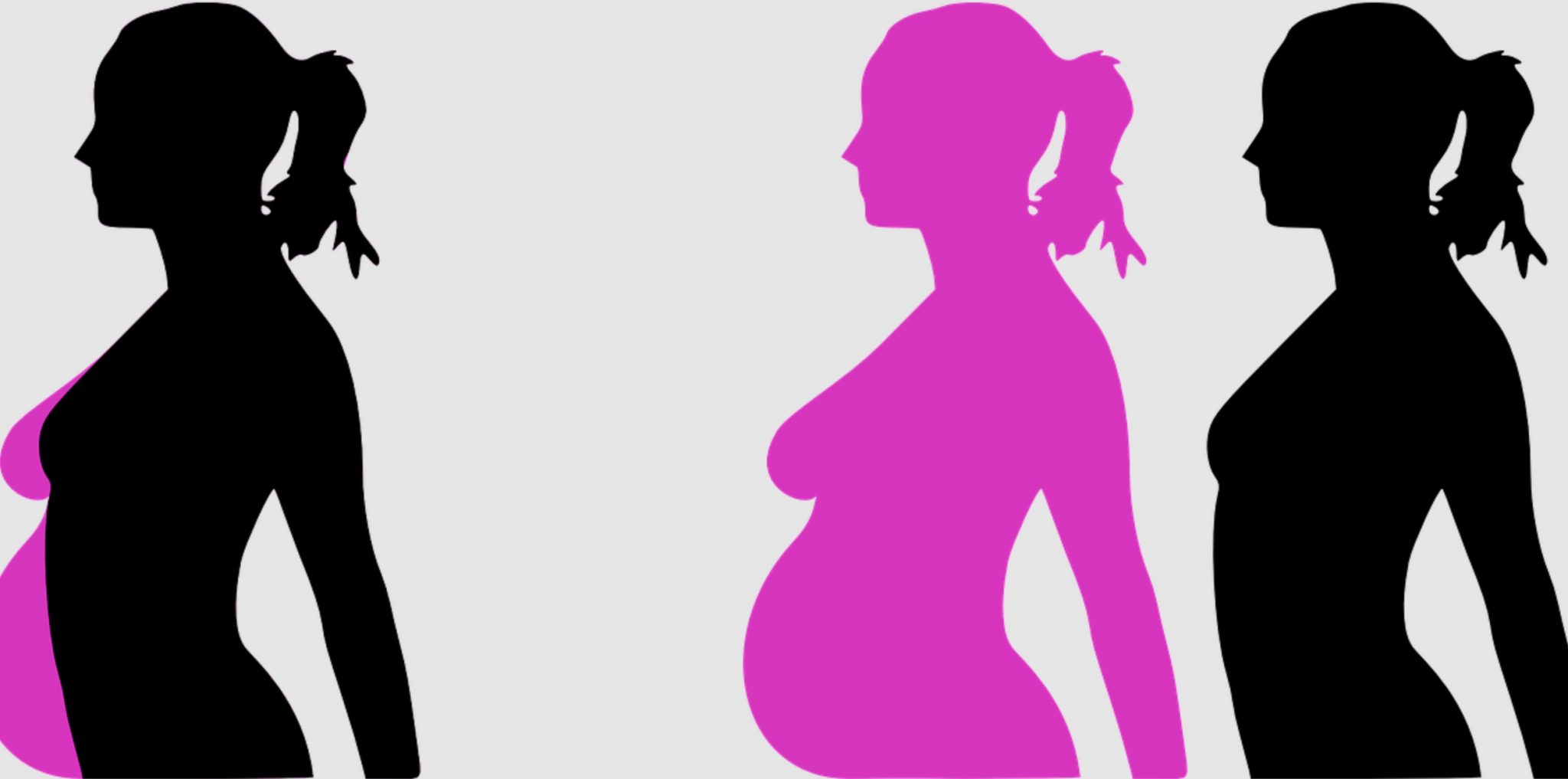 Ovulation Process Your Ovulation Timeline 25Magazine