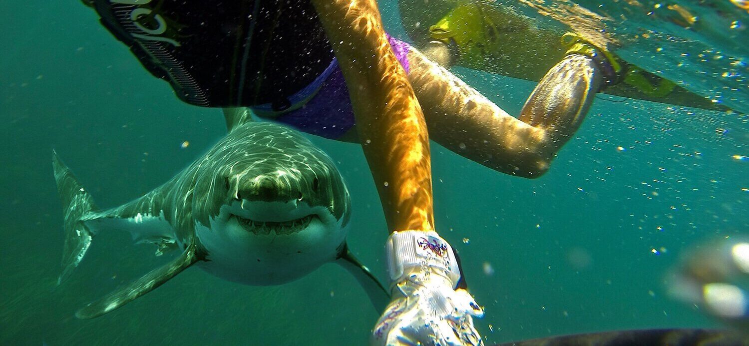 nice selfie shot me and my friend white sharky t20 XQGl9z e1562077801993