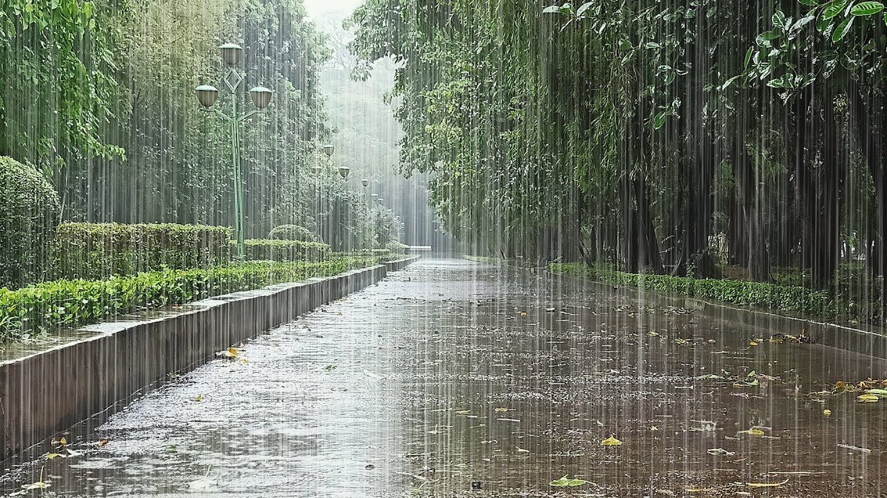 raindream5